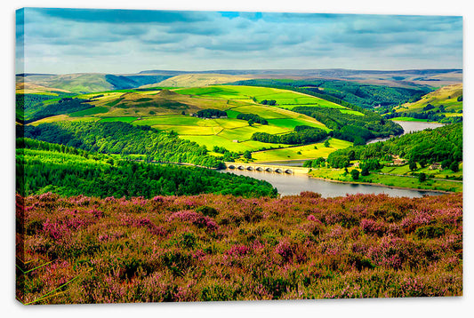 Bamford foliage