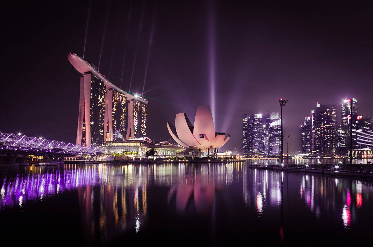 The Singapore flower