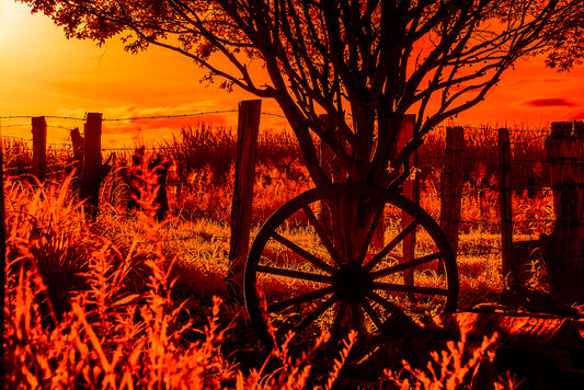 Time wheel