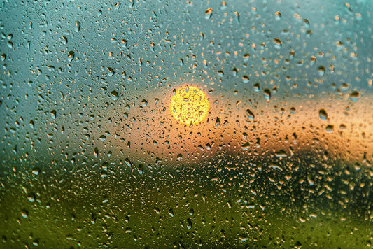After the rain