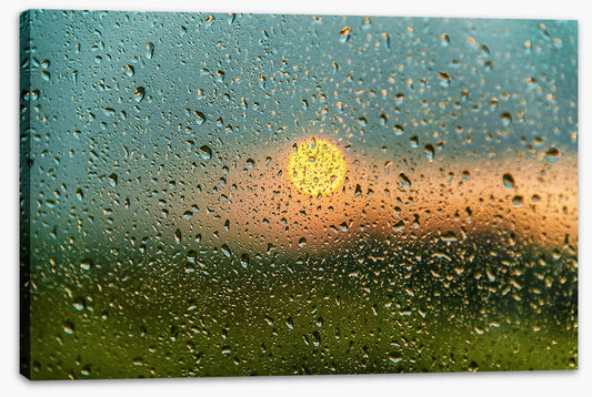 After the rain