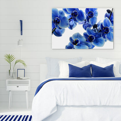 Orchid blue