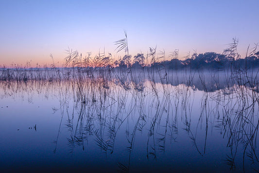 Seaford wetlands