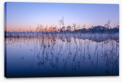 Seaford wetlands