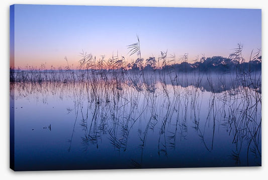 Seaford wetlands
