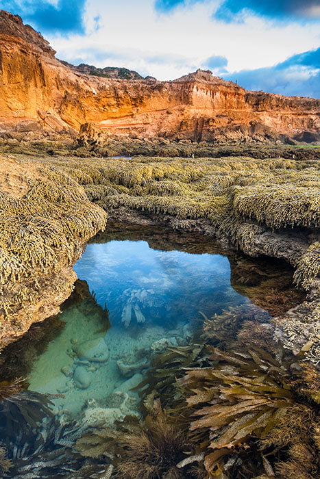 Rockpool, Mornington Peninsula