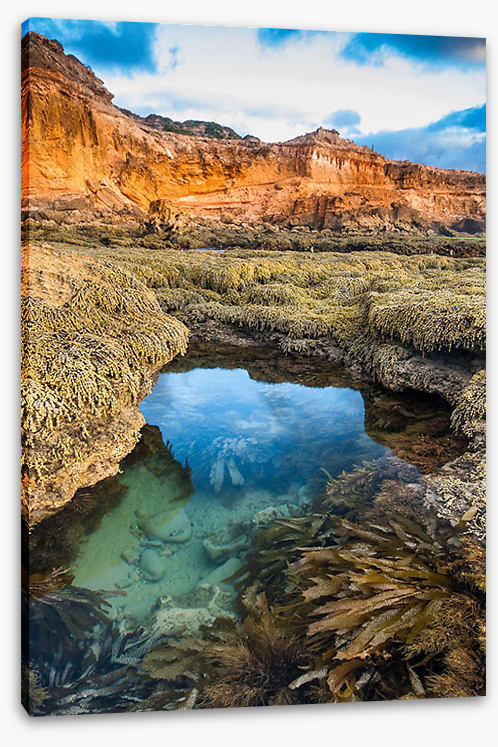 Rockpool, Mornington Peninsula
