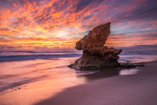 Lizard Head rock