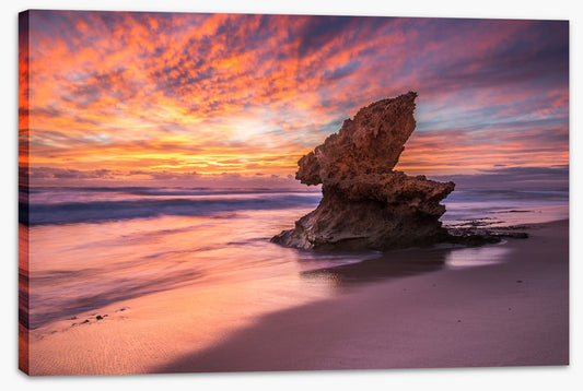 Lizard Head rock