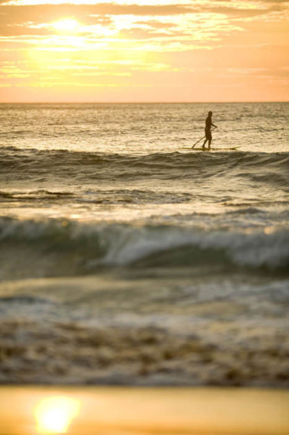 Avalon beach paddle boarder at sunrise