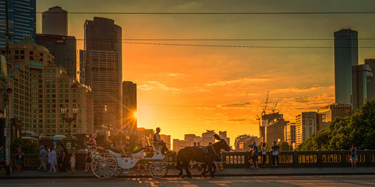 Princess sunset