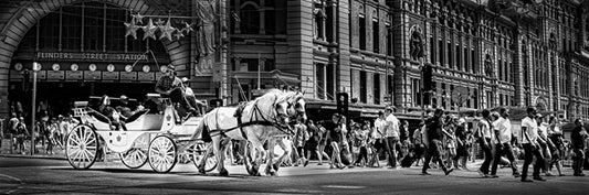 Flinders