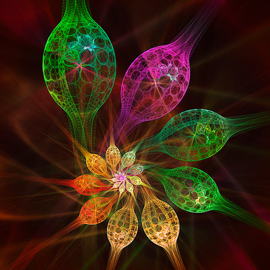 Crystal flowers