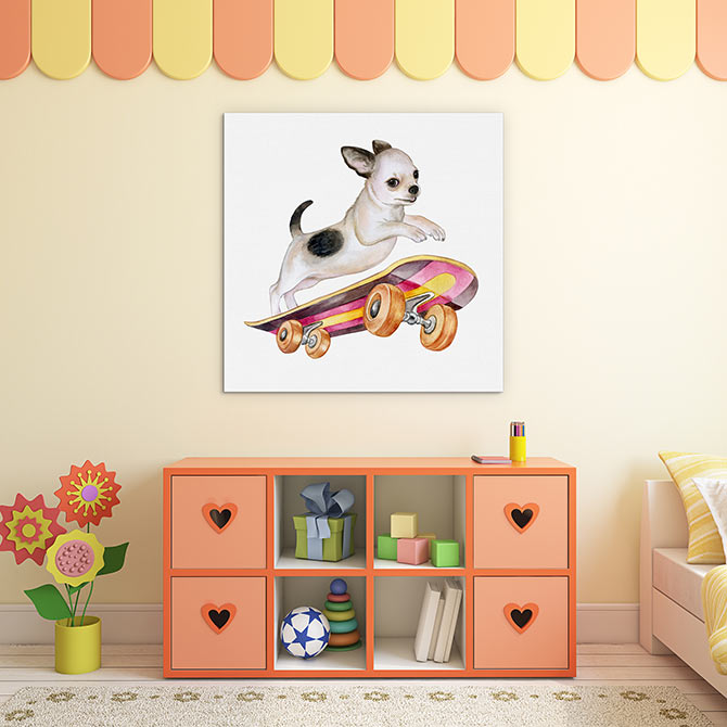 Skateboard chihuahua
