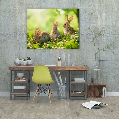 Spring bunnies