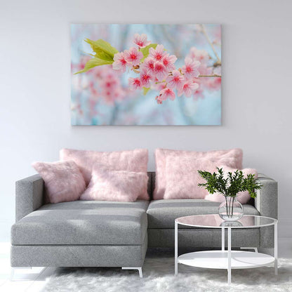 Cherry blossoming