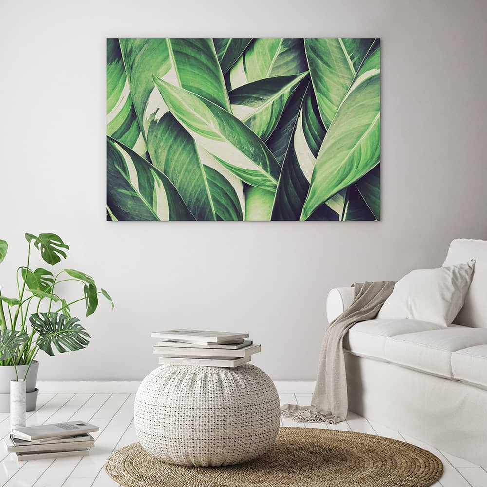 Retro leaves
