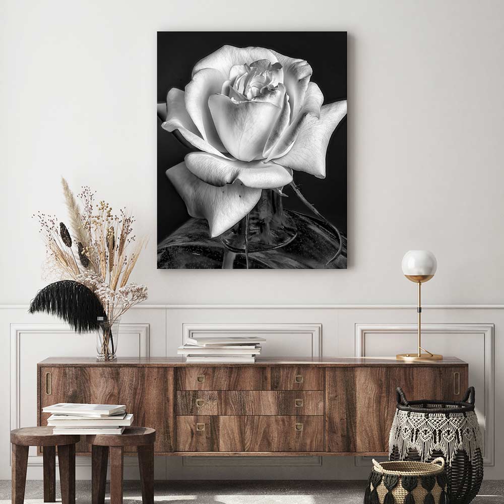 The white rose