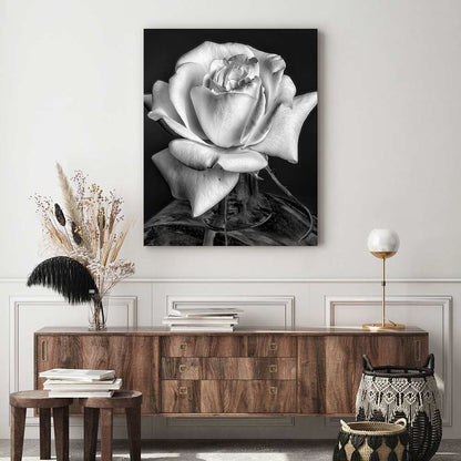 The white rose