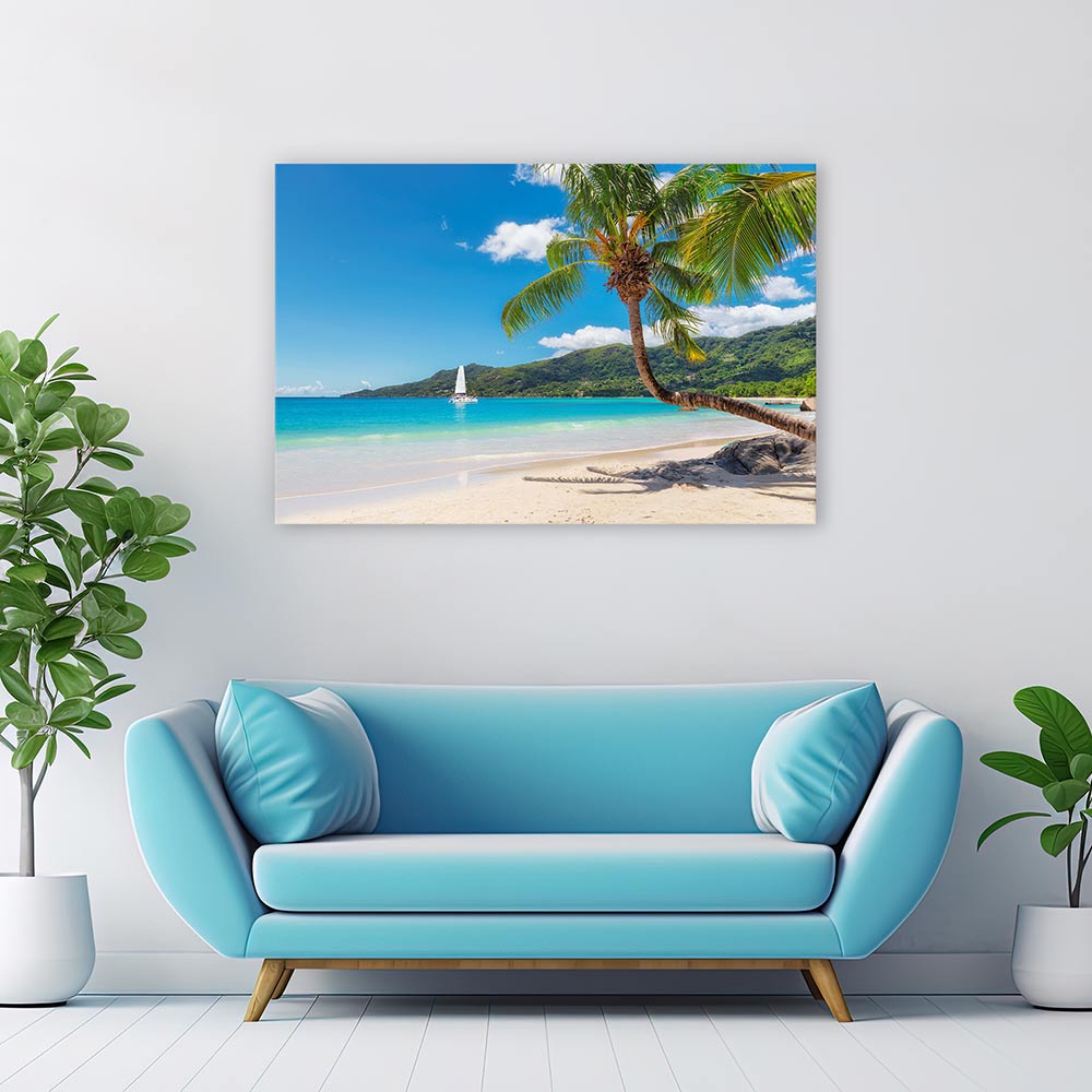 Coconut paradiso