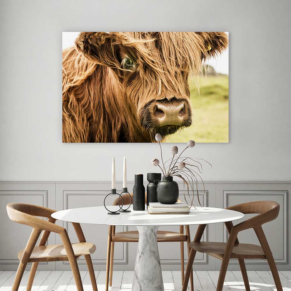 How now brown cow