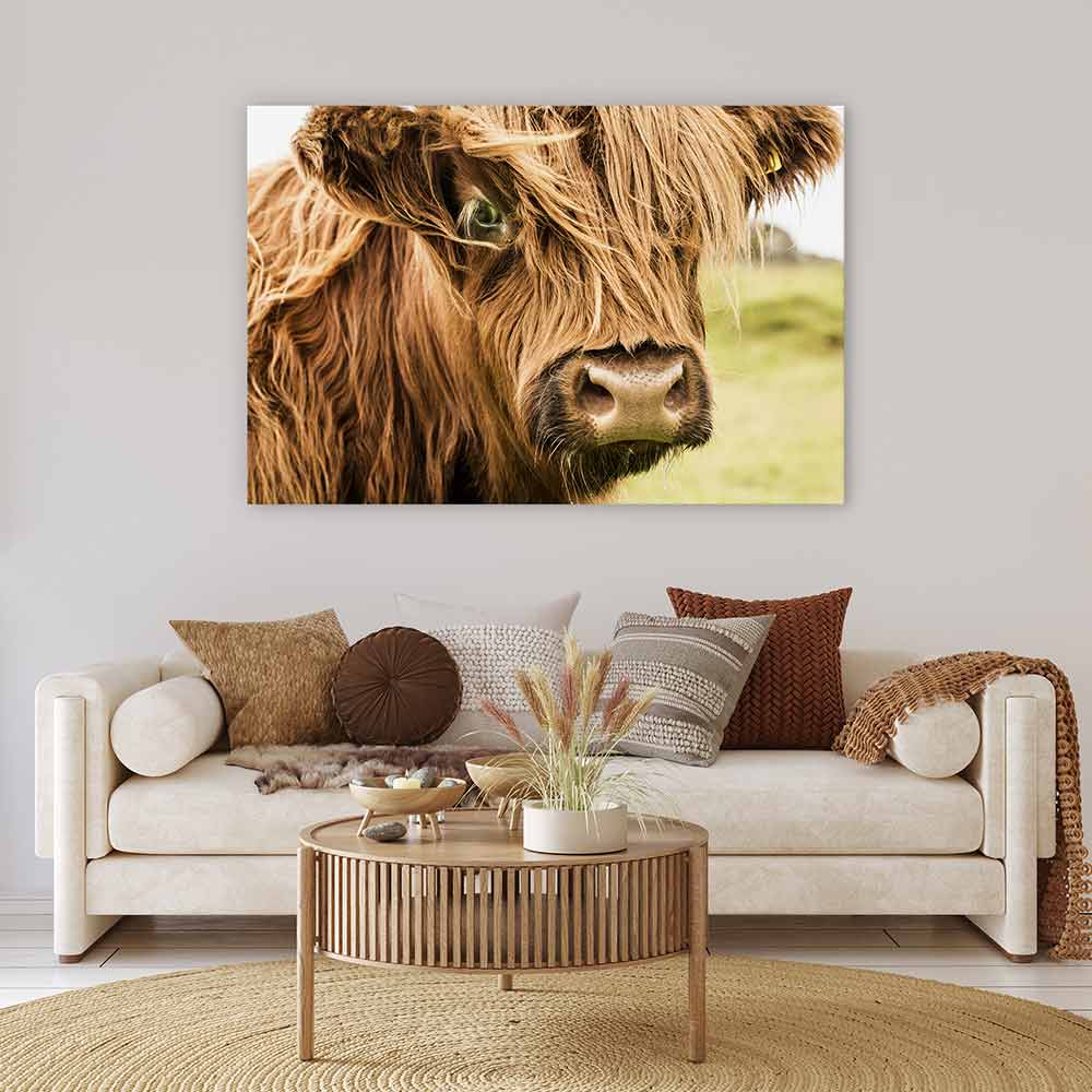 How now brown cow