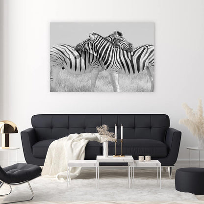 Zebra hugs