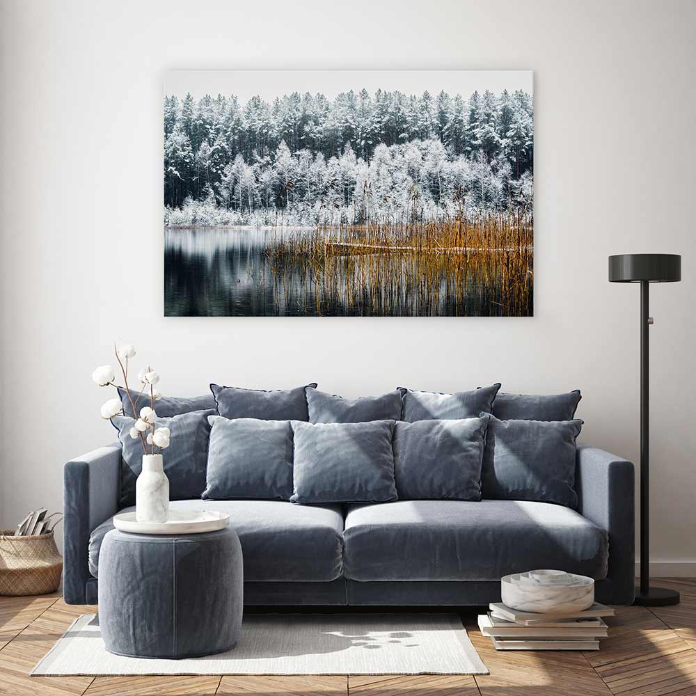Frosty forest lake