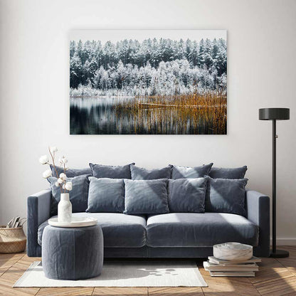 Frosty forest lake