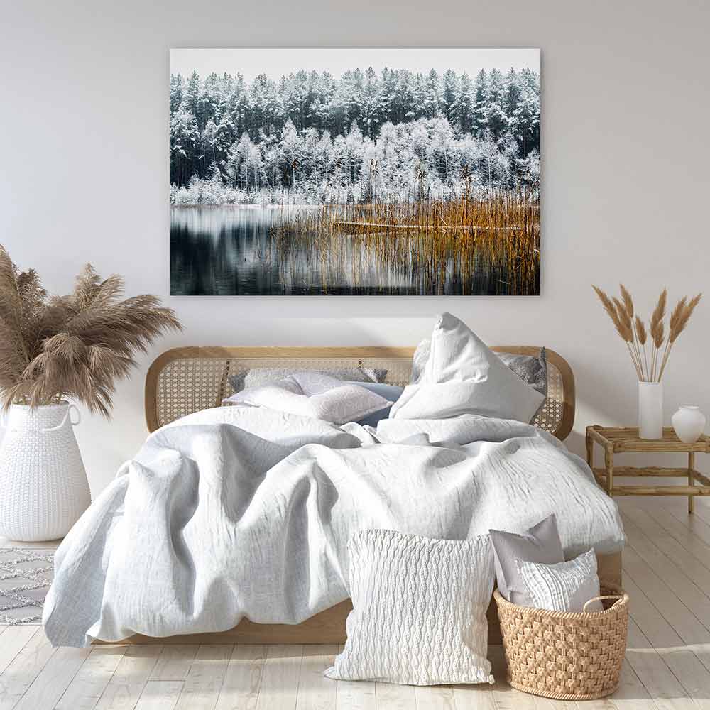Frosty forest lake