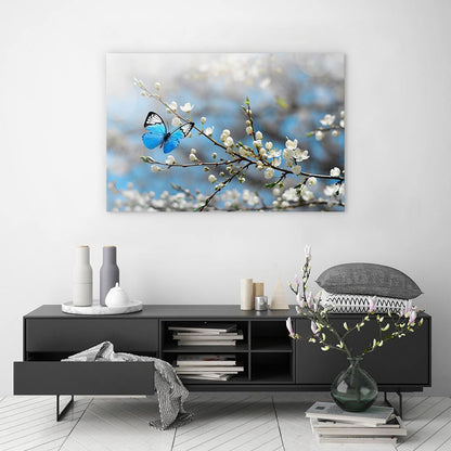 Blue butterfly blossom