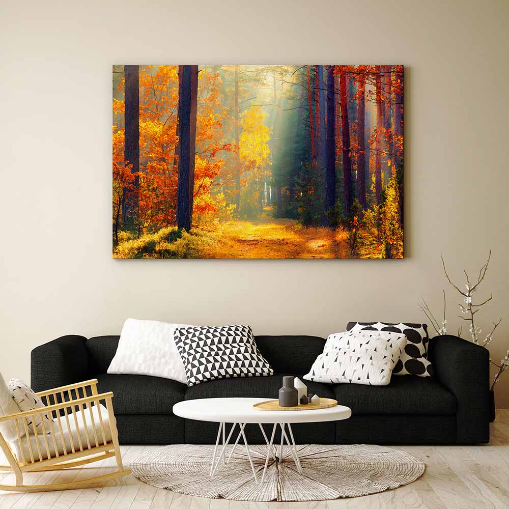 Autumn illuminated