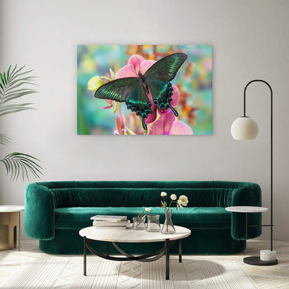 Alpine black swallowtail
