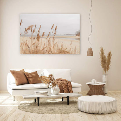 Pampas sands