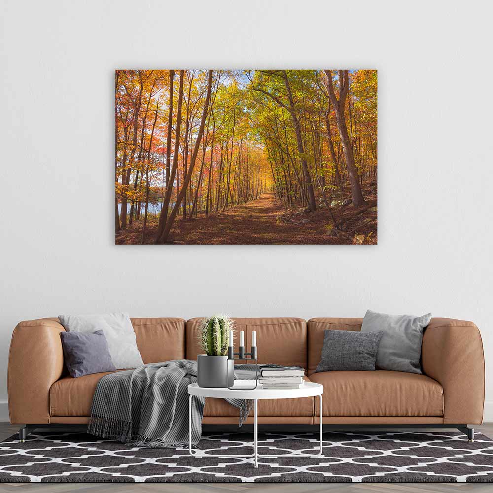 Following fall