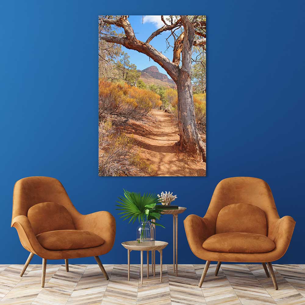 Path to the Flinders Ranges