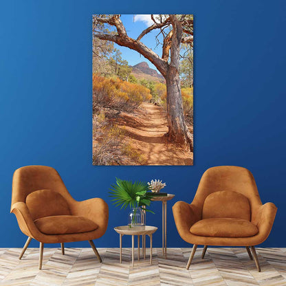 Path to the Flinders Ranges