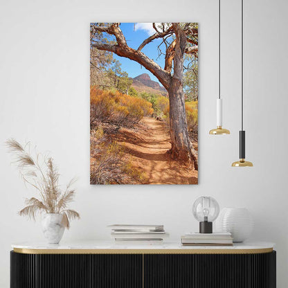Path to the Flinders Ranges