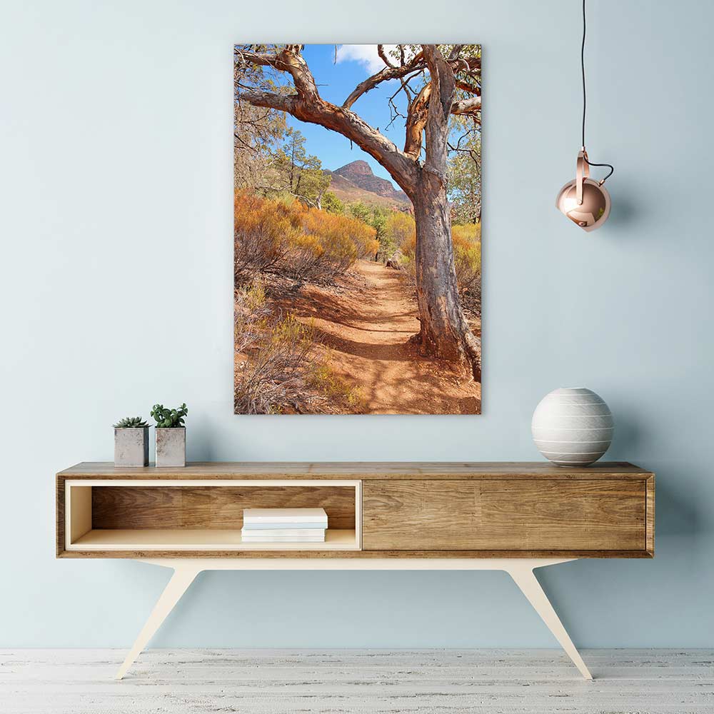 Path to the Flinders Ranges