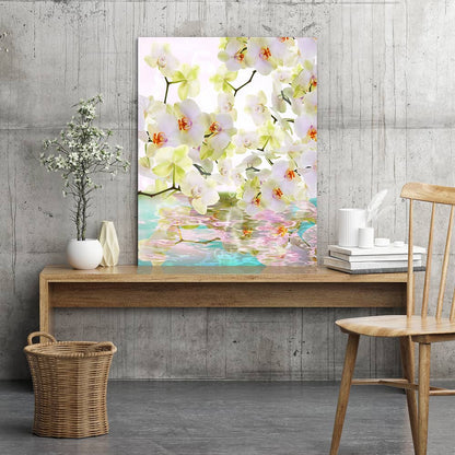 Japanese orchid reflections
