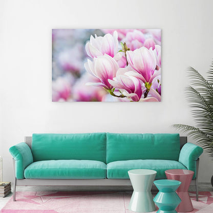 Delicate magnolia