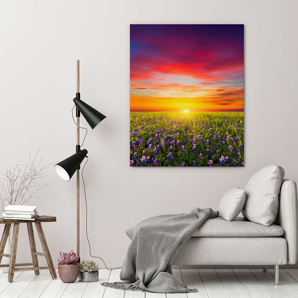 Wildflower meadow sunset
