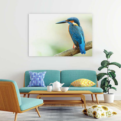 Kingfisher king