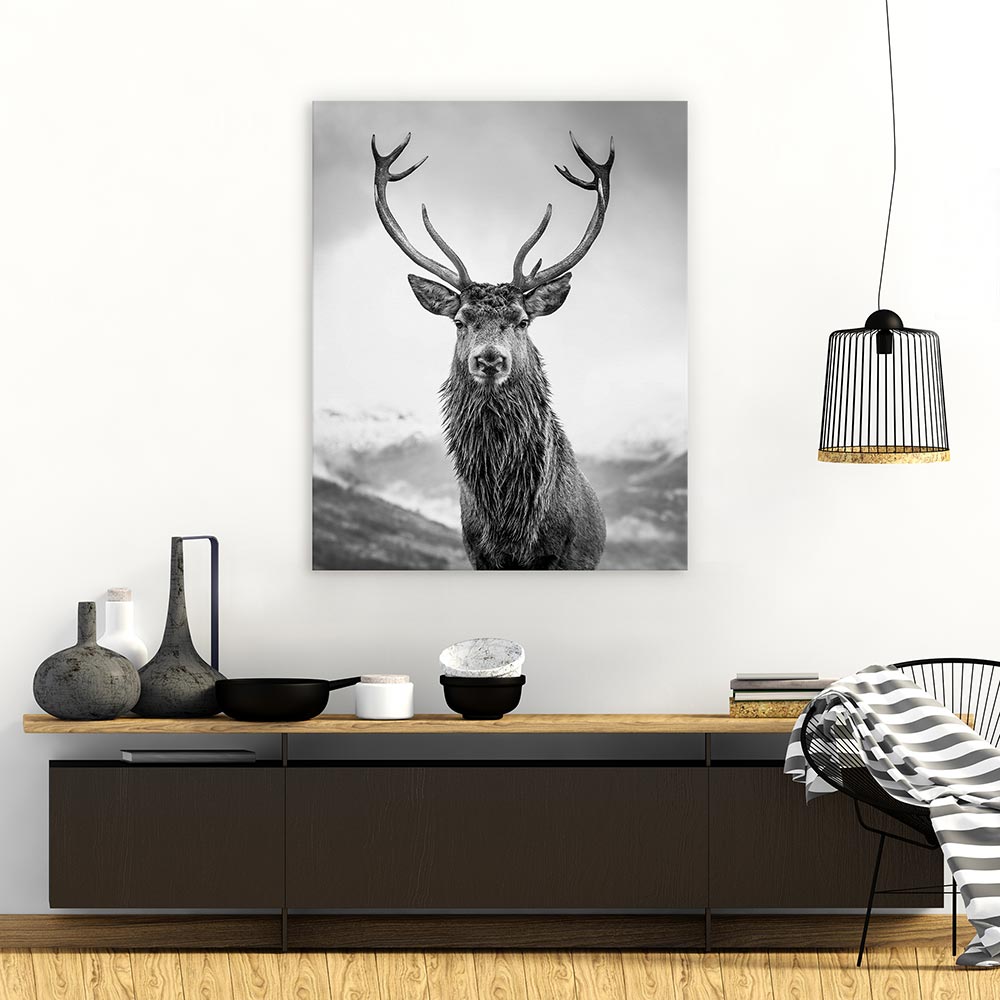 Monarch of the glen