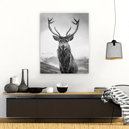 Monarch of the glen