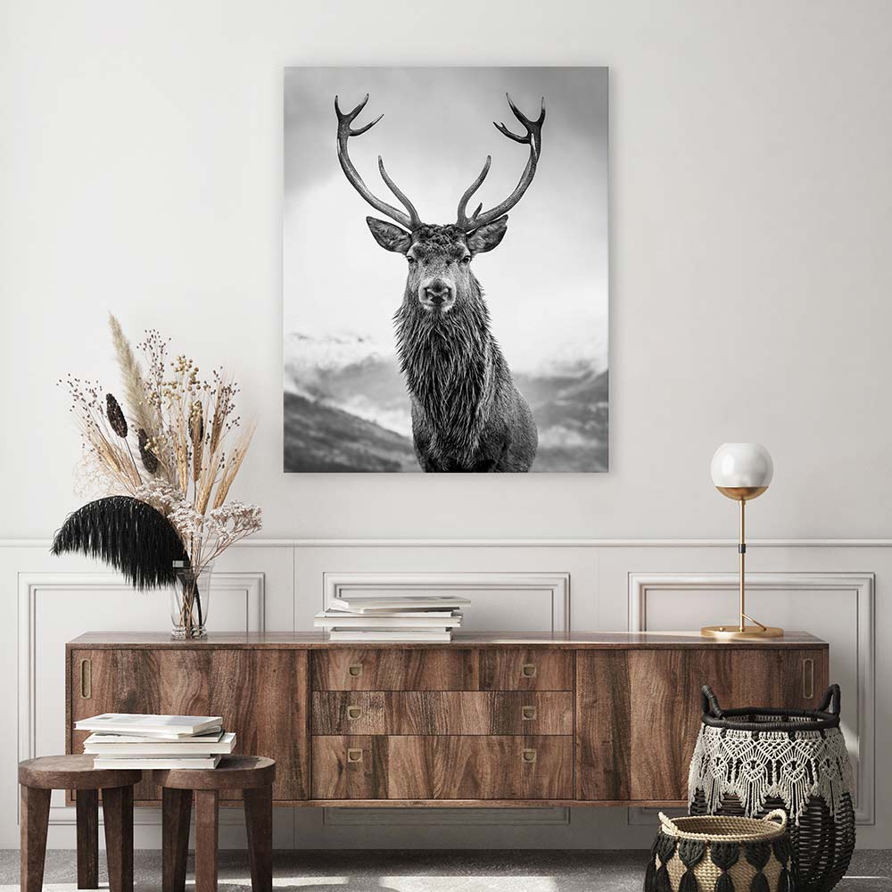 Monarch of the glen