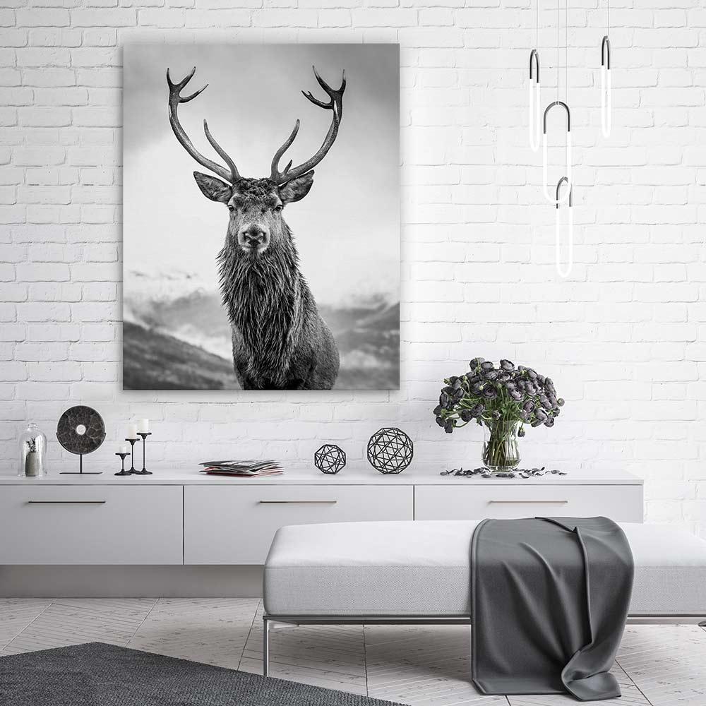 Monarch of the glen