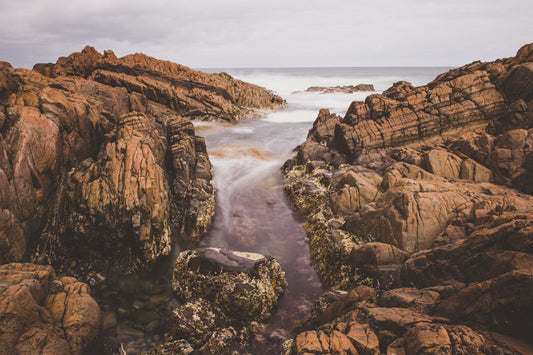 Australina_Landscape_Canvas_Bedhead_W90x60H_PinkRoom