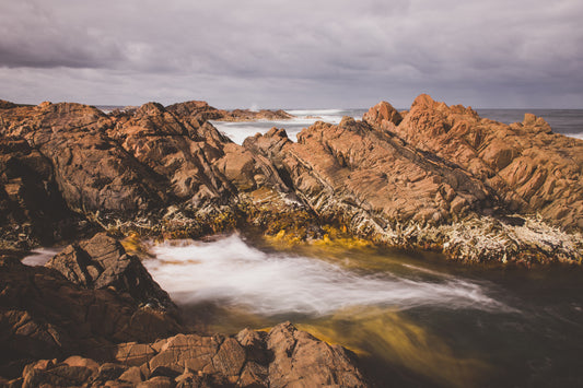 Caladenia_Bedhead_Landscape_Canvas_W90xH60_PinkRoom