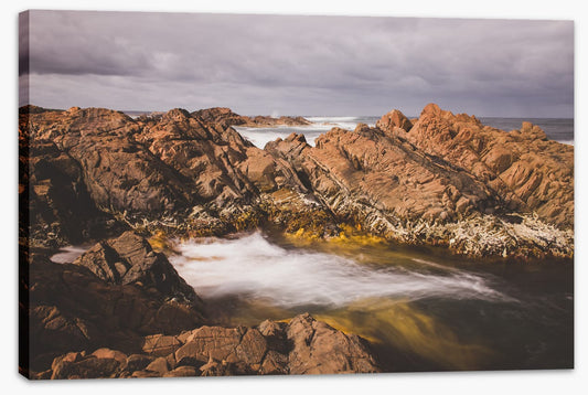 Caladenia_Bedhead_Landscape_Canvas_W90xH60_PinkRoom